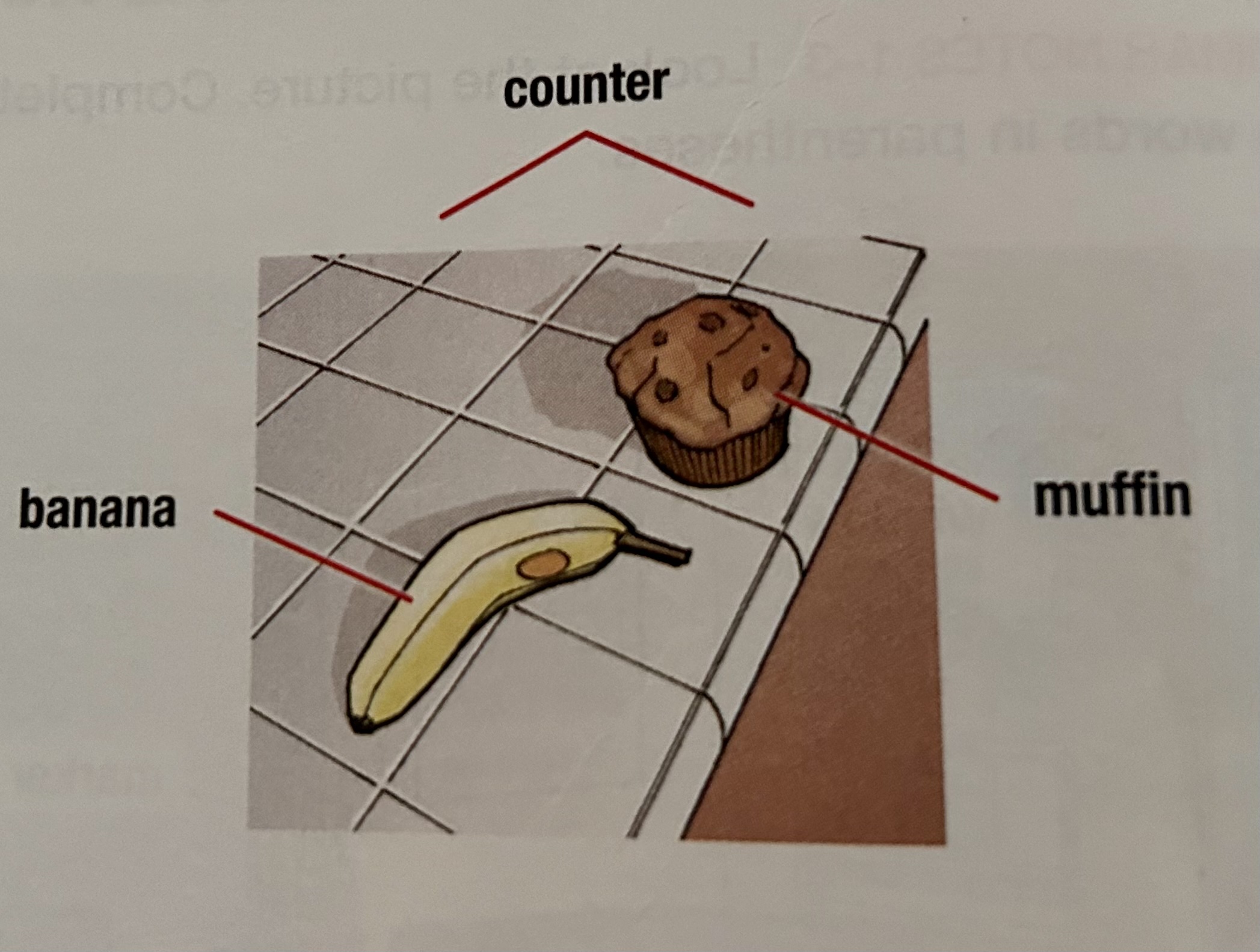 counter