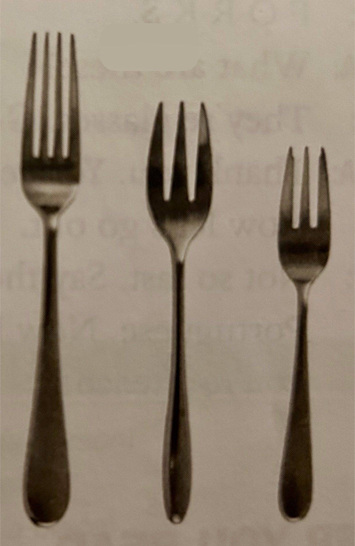 Forks