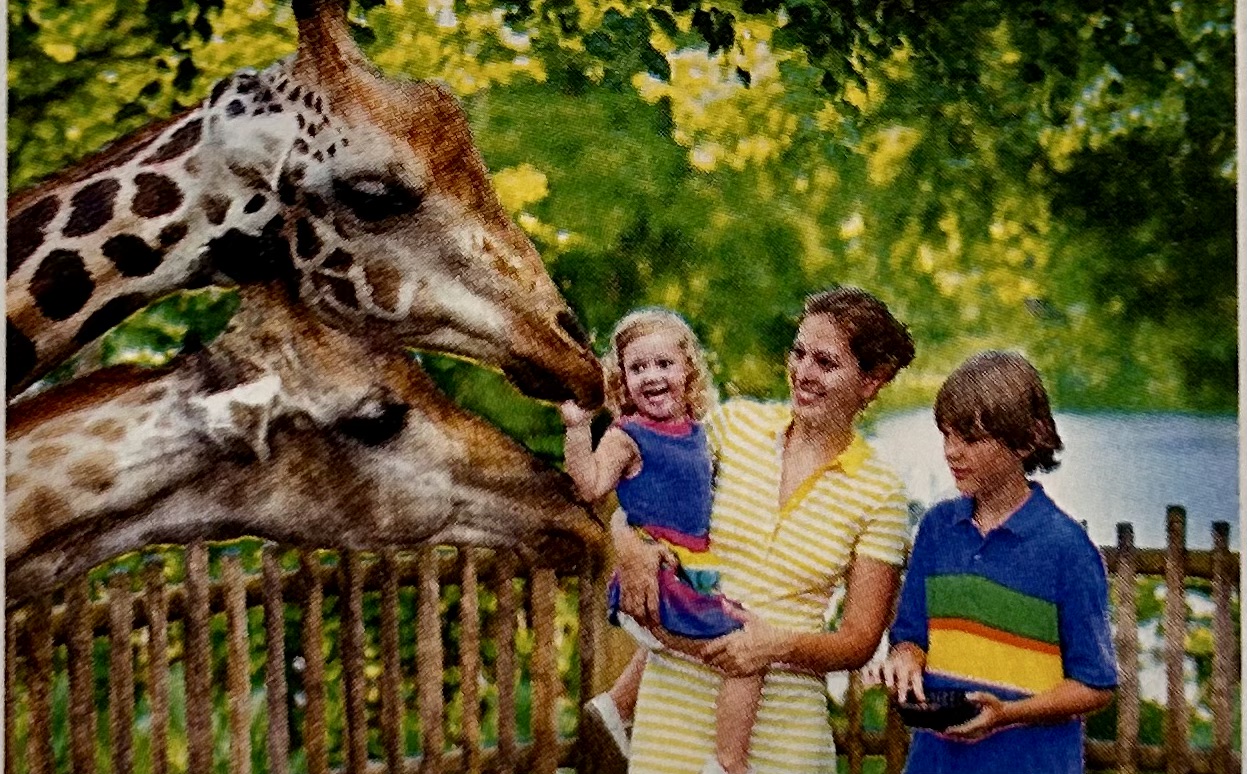A zoo